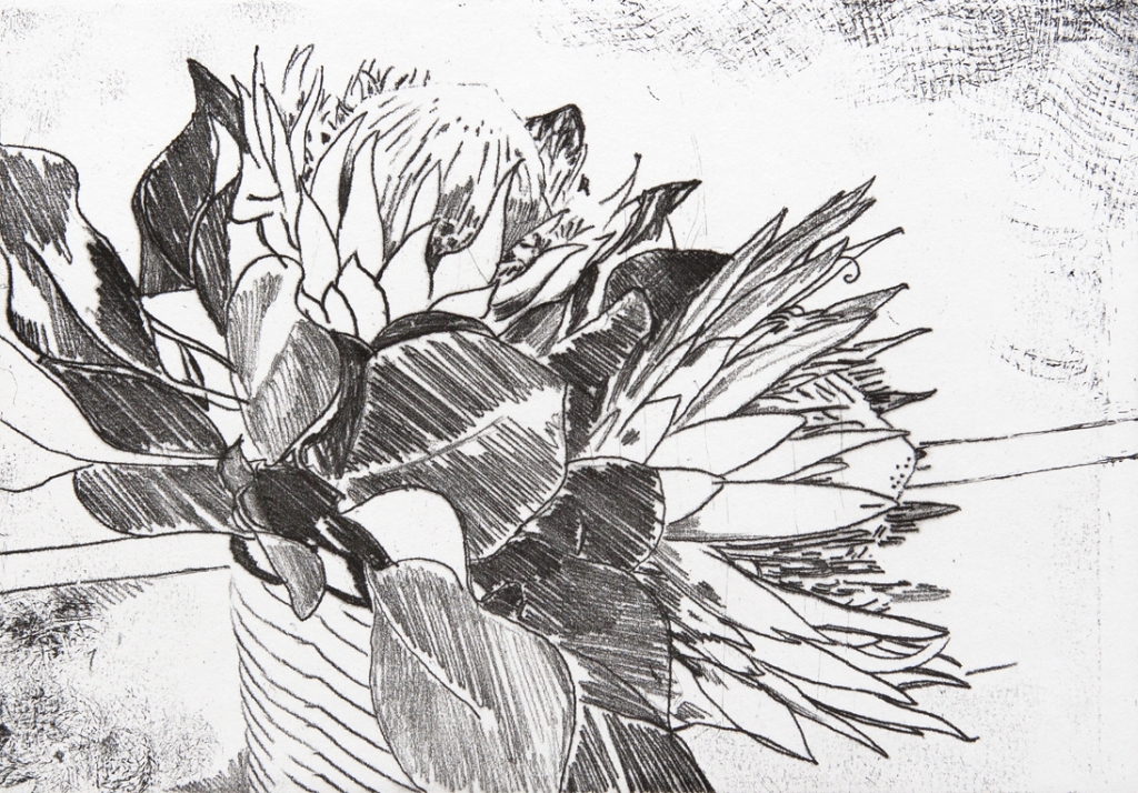 King Protea